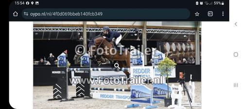 2 Springpaarden zoeken ruiter, Dieren en Toebehoren, Paarden, Merrie, ZZ, 165 tot 170 cm, 3 tot 6 jaar, Springpaard