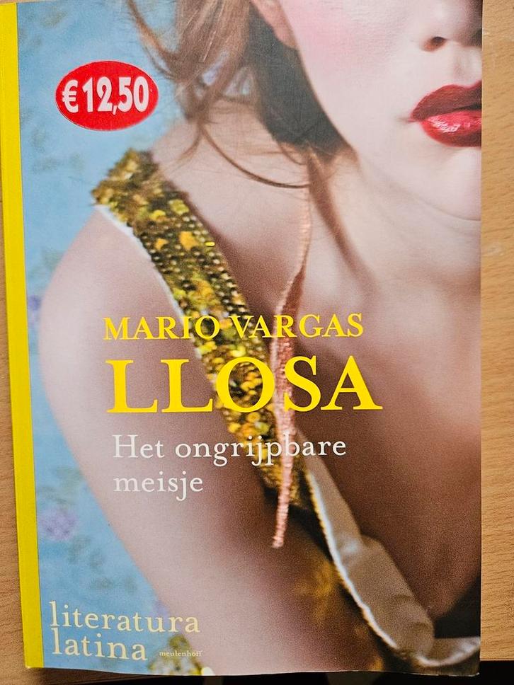 Mario Vargas Llosa - Het ongrijpbare meisje, Boeken, Romans, Zo goed als nieuw, Nederland, Ophalen of Verzenden