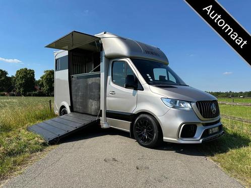 Mercedes-Benz Sprinter 314 AMG 2-paards paardenvrachtwagen B, Dieren en Toebehoren, Paarden en Pony's | Trailers en Aanhangwagens