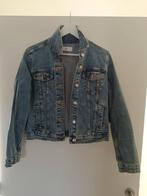 Veste Jeans femme MNG 38 médium, Vêtements | Femmes, Neuf, Taille 38/40 (M), MNG, Enlèvement