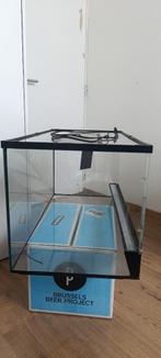 Terrarium, Ophalen, Gebruikt, Terrarium of Paludarium