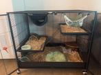 Rattenkooi, Dieren en Toebehoren, Ophalen, Kooi, Hamster, 60 tot 90 cm