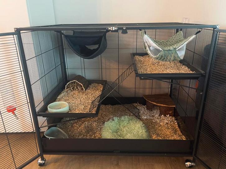 Rattenkooi, Dieren en Toebehoren, Knaagdieren en Konijnen | Hokken en Kooien, Zo goed als nieuw, Kooi, 60 tot 90 cm, 75 tot 110 cm