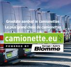 +500 camionetten en stock ! koop of Leasing vanaf 500 eur.pm, Autos, Camionnettes & Utilitaires, 136 kW, 3500 kg, Tissu, 1955 cm³