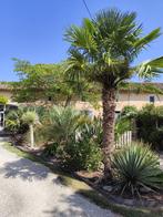 Charentaise-huis + aangrenzend huurhuisje, Immo, Fontenille Saint Martin, Frankrijk, Woonhuis, 310 m²