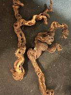 Racines, Animaux & Accessoires, Enlèvement