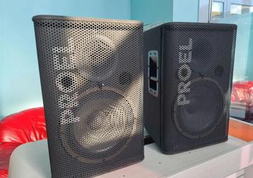Proel TFL12P concertluidsprekers, Audio, Tv en Foto, Luidsprekerboxen, Ophalen of Verzenden, Zo goed als nieuw