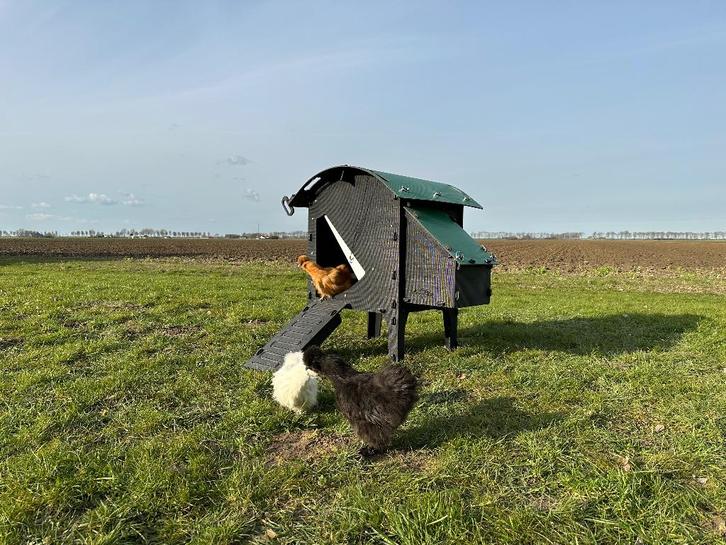 Kunststof Kippenhok - Nestera Small Op Pootjes, Dieren en Toebehoren, Pluimvee | Toebehoren, Nieuw, Kippenhok of Kippenren, Ophalen of Verzenden