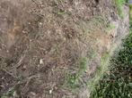 Aanvulgrond, Tuin en Terras, Aarde en Mest, Ophalen, Overige typen