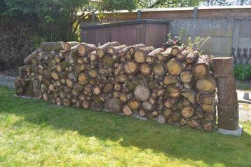 Stapel brandhout (eiken stammetjes) beschikbaar voor biedingen
