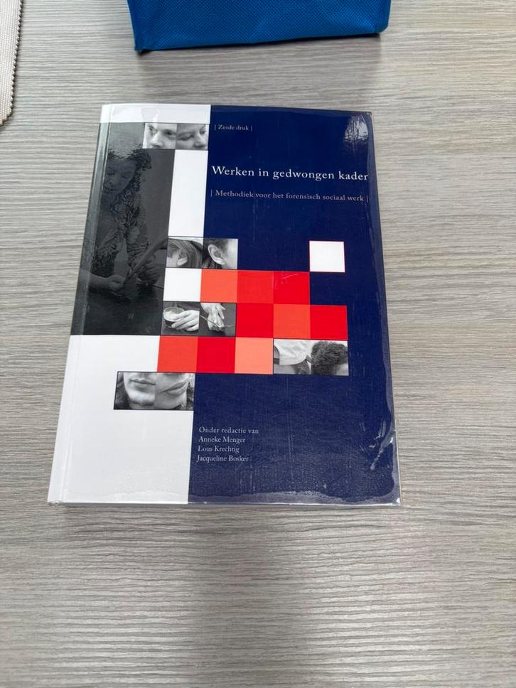 Lous Krechtig - Werken in gedwongen kader, Boeken, Politiek en Maatschappij, Ophalen of Verzenden