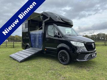 Mercedes-Benz Sprinter 317 AMG 2-paards paardenvrachtwagen B beschikbaar voor biedingen
