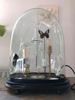 ANTIEKE STOLP LICHT LAMP CURIOSITEITEN TAXIDERMIE DECO, Ophalen