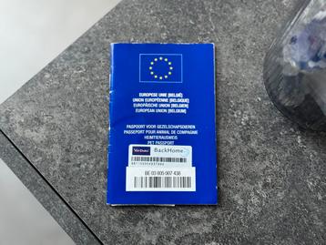 Nieuwe thuis gezocht voor tygo