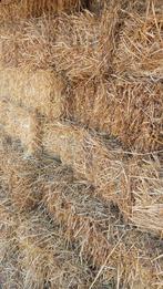 Stro in kleine pakken, Zakelijke goederen, Landbouw | Veevoer, Ophalen