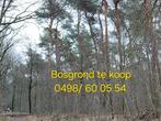 Bosgrond te koop in Oudsbergen., Immo