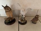 3 mooie uiltjes, 2 op zuil handmade Engeland geen, Verzamelen, Ophalen of Verzenden