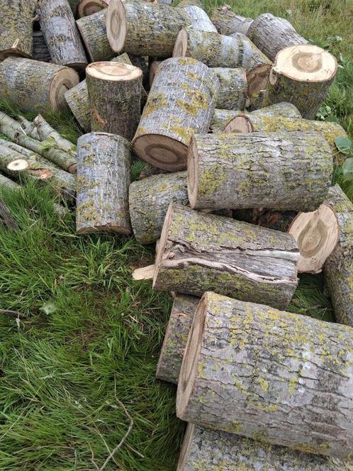 MOOI BRANDHOUT: NOG ZELF TE KLIEVEN, Tuin en Terras, Brandhout, Ophalen
