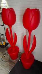 Design tulip xl, Ophalen