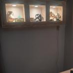 Étagère murale avec spots, Maison & Meubles, Enlèvement, Comme neuf