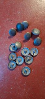 Lot de boutons allemand, Enlèvement