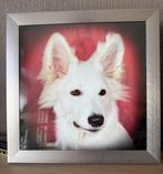 Fotokader met foto van Witte Zwitserse herder pup, Dieren en Toebehoren, Honden-accessoires, Ophalen of Verzenden, Zo goed als nieuw