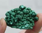 Botryoidale MALACHIET uit KOLWEZI in CONGO, Verzamelen, Mineralen en Fossielen, Ophalen of Verzenden, Mineraal