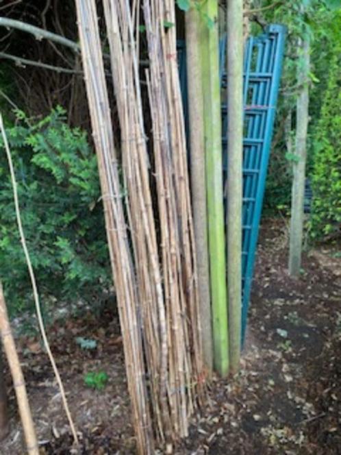 Bamboestokken, LAATSTE STUKS!, Tuin en Terras, Kweekspullen, Ophalen
