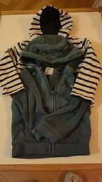 Lot de 2 sweets à capuche  - 86 cm 23 mois, Garçon, C&A, Enlèvement ou Envoi, Pull ou Veste
