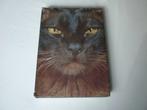 De Wondere Wereld der Katten - Ray Anderson, Ray Anderson, Nieuw, Ophalen of Verzenden, Katten