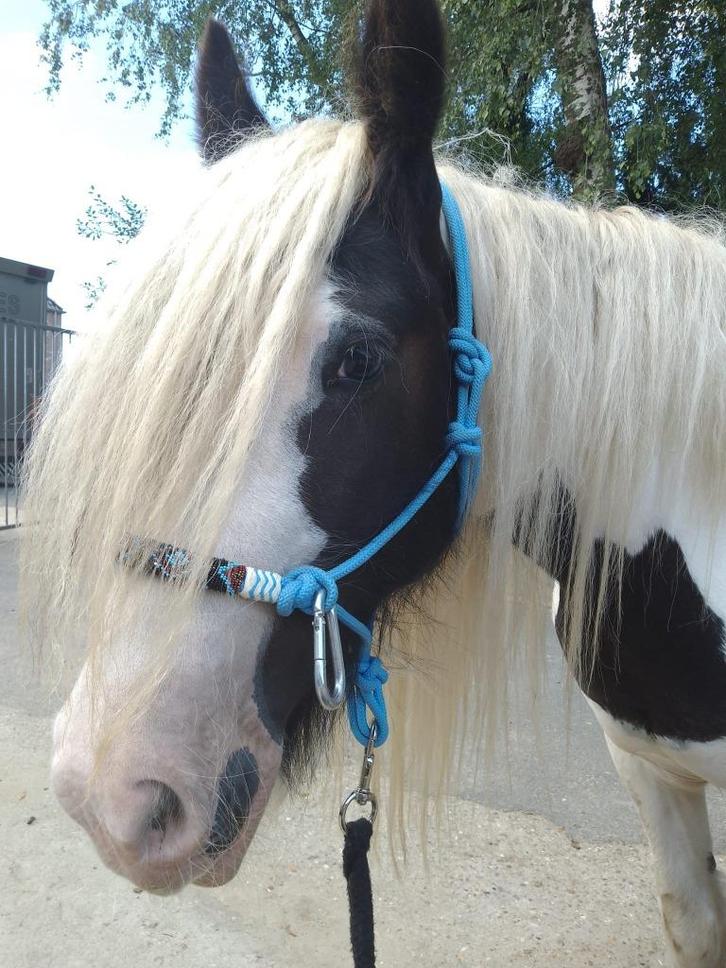 Touwhalster (waldhausen) maat cob, Dieren en Toebehoren, Paarden en Pony's | Overige Paardenspullen, Zo goed als nieuw, Overige soorten