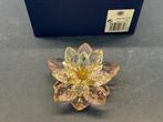 Swarovski Waterlelie Rosaline, de betoverende tuin., Ophalen of Verzenden, Nieuw, Figuurtje