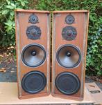 Célestion Ditton 66 monitor très rare, Ophalen of Verzenden, Zo goed als nieuw