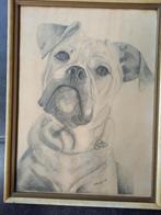 Tekening potlood, Enlèvement