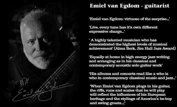 Muziekles, gitaarles door ervaren, bevoegd docent, Muziek en Instrumenten, Overige Muziek en Instrumenten, Ophalen of Verzenden