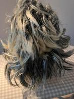 2 carnaval pruiken, Kleding | Dames, Ophalen of Verzenden, Gedragen, Accessoires