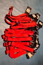 Nylon halsbanden en lijn, Ophalen of Verzenden, Nieuw