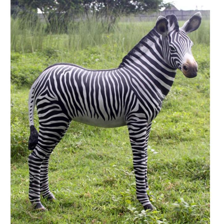 Zebra Veulen beeld - Hoogte 110 cm, Verzamelen, Dierenverzamelingen, Nieuw, Ophalen