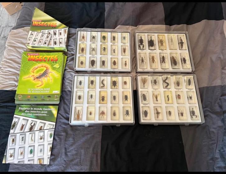 Collection complete « Authentiques insectes » Le Soir, Collections, Collections complètes & Collections, Enlèvement