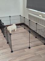 Honden ren, Ophalen, Zo goed als nieuw