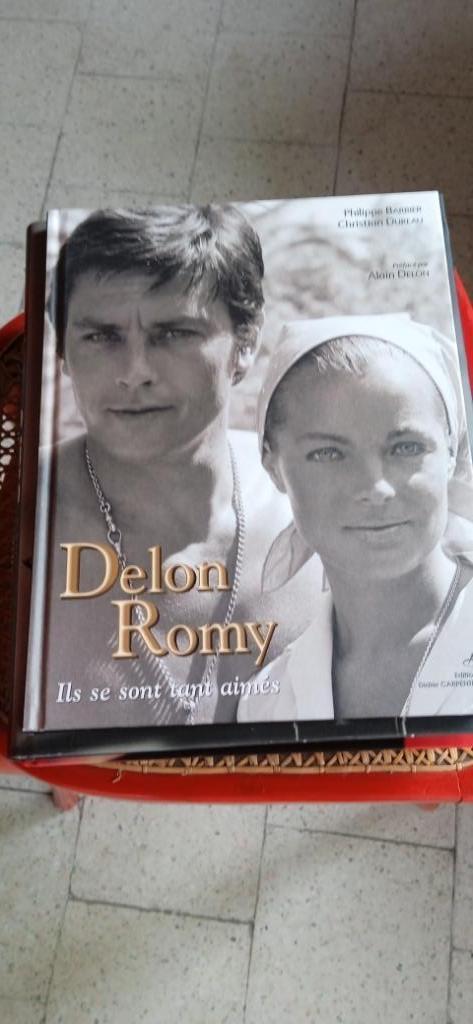 Livre "Delon et Romy"  - Ils se sont tant aimés -, Livres, Biographies, Comme neuf, Enlèvement