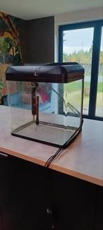 HS Lago 40 aquarium, Dieren en Toebehoren, Ophalen, Gebruikt