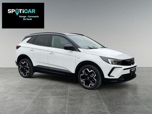 Opel Grandland X, Auto's, Opel, Bedrijf, Grandland X, ABS, Adaptieve lichten, Airbags, Airconditioning, Bluetooth, Boordcomputer