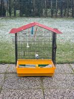 Parket kooi, Dieren en Toebehoren, Ophalen