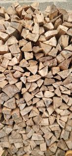 Brandhout te koop wilg en beuk gekloven en droog, Tuin en Terras, Ophalen of Verzenden