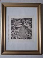 Originele ets van Frida De Coninck "In de serre", Ophalen of Verzenden