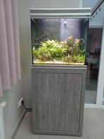 Aquarium Aquatlantis, Dieren en Toebehoren, Vissen | Aquaria en Toebehoren, Ophalen, Gevuld zoetwateraquarium