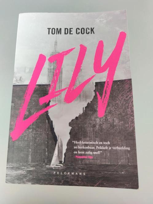 Lily - Tom de Cock, Livres, Livres pour enfants | Jeunesse | 13 ans et plus, Comme neuf, Fiction, Enlèvement