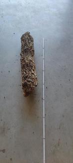 Kurk te koop, Dieren en Toebehoren