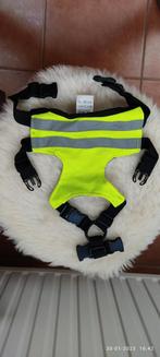 Fluo hondenjasje, Dieren en Toebehoren, Honden-accessoires, Ophalen of Verzenden, Nieuw